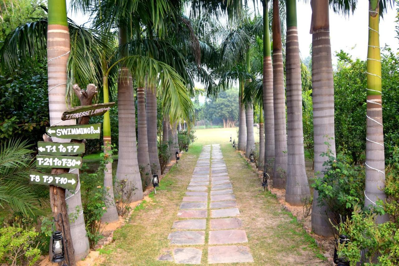 Sultan Bagh Resort By The Sky Imperial Sawai Madhopur Εξωτερικό φωτογραφία